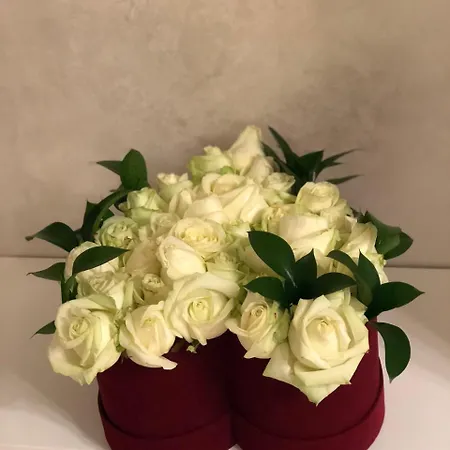 Ambra Boutique & Bistro Отель 4*